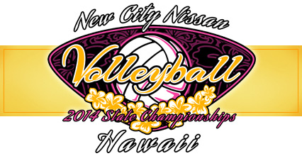 Banner_2014_volleyball