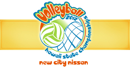 2012_volleyball